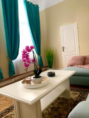 Art Nouveau Apartment Ultracentral